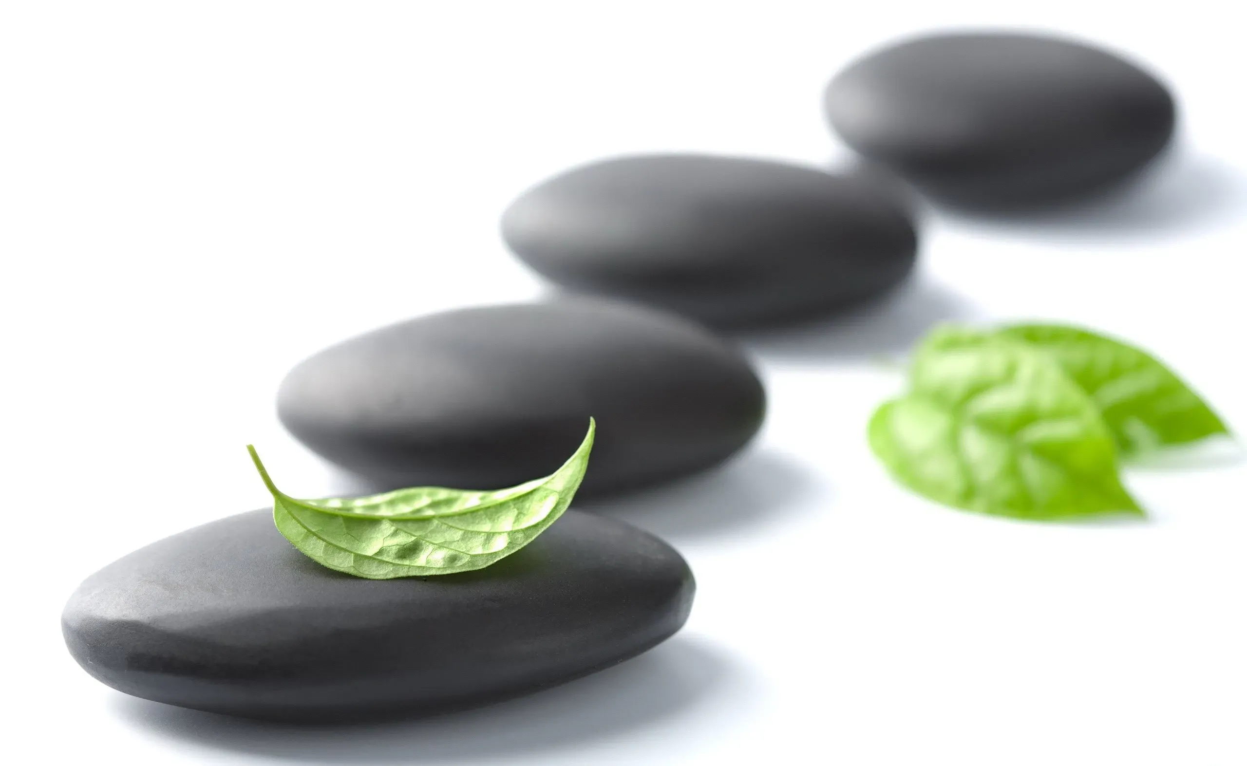 A relaxing massage therapy session at Chan Thai Spa